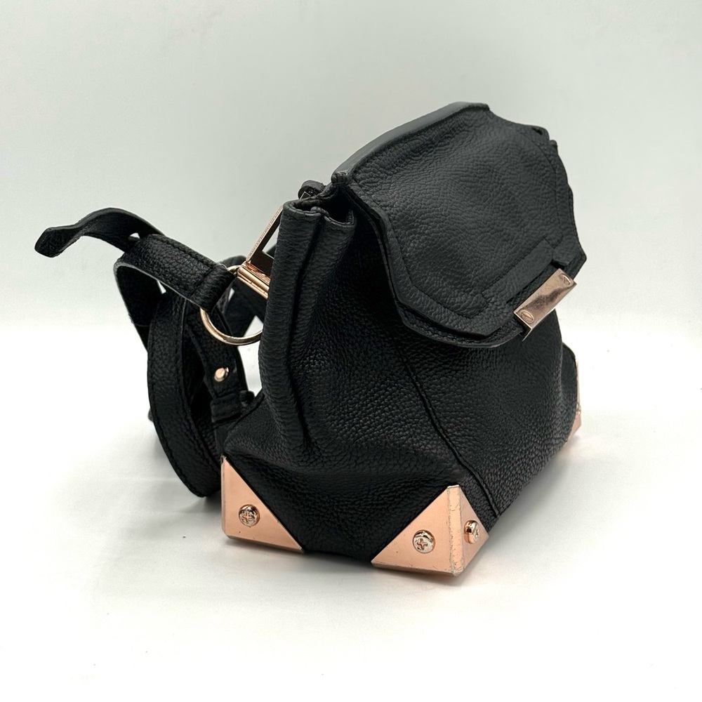 ALEXANDER WANG Marion Prisma Black Pebbled Leather & Rose Gold Crossbody Bag - Picture 5 of 16